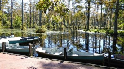 BG 000 cypress gardens